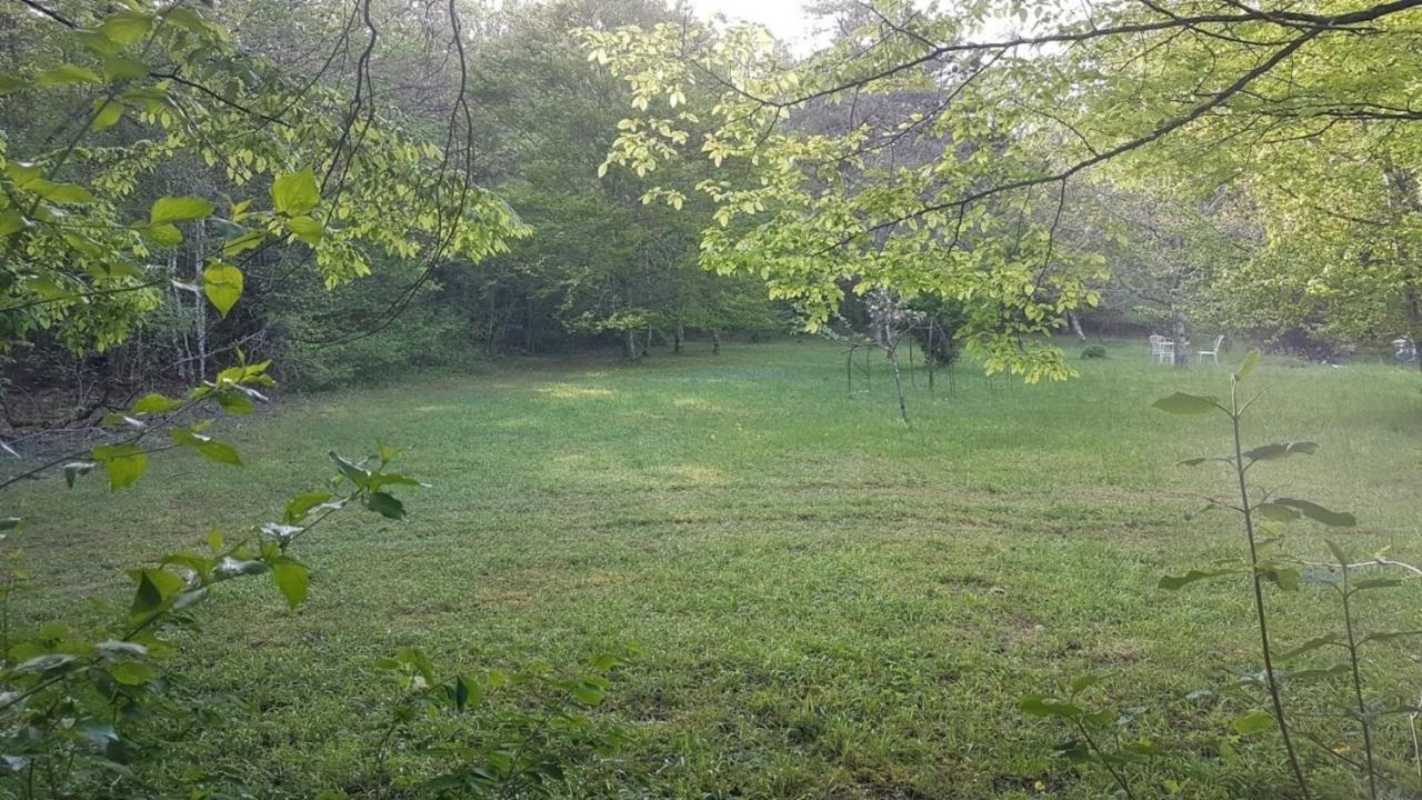 Lovely 2-Bed Shepherds Hut In A Forest Sougeres-en-Puisaye Kültér fotó
